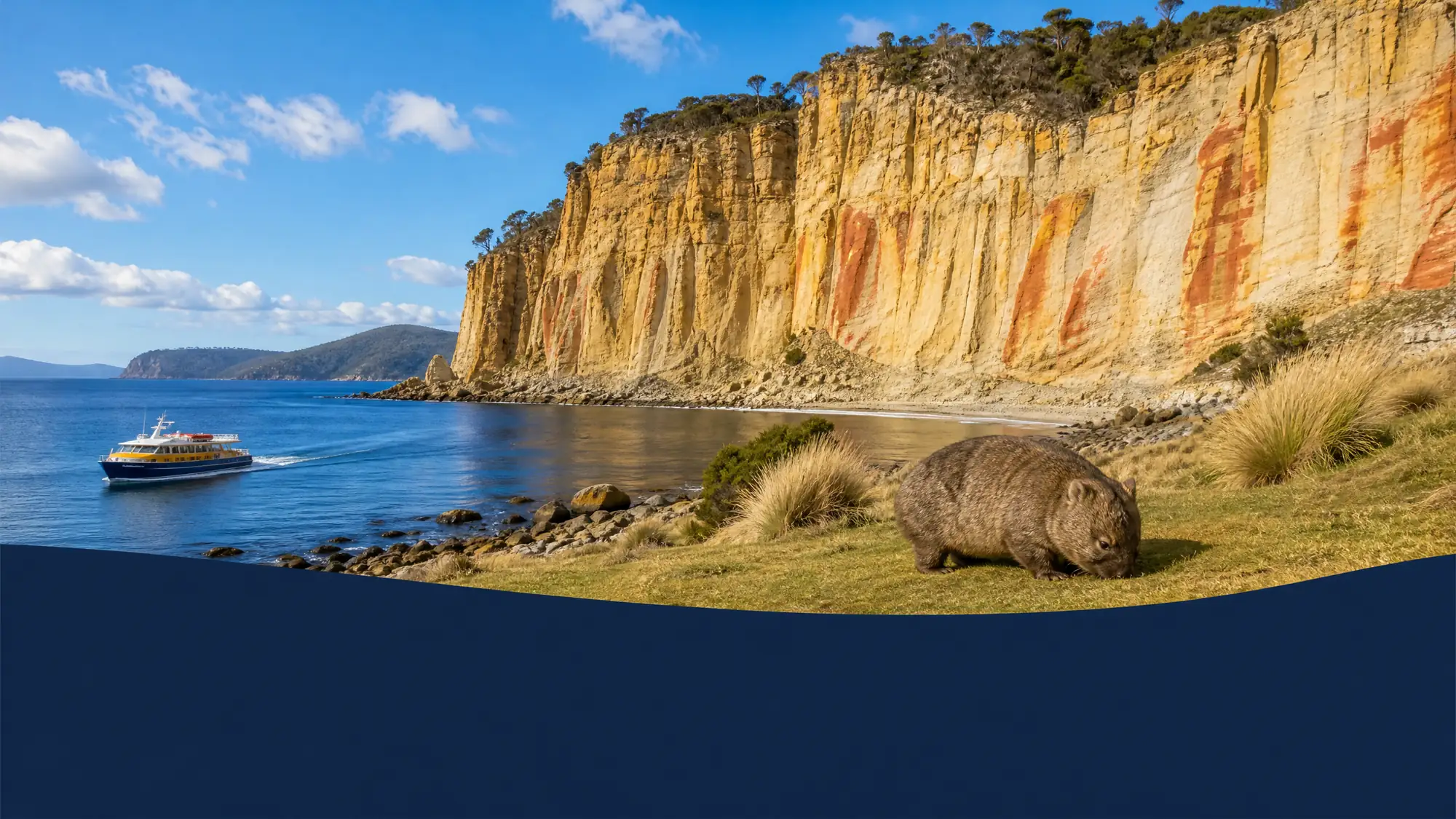 Entdecken Sie Meereshöhlen an der Küste und wilde Wombats auf einer geführten Tages tour nach Maria Island. Die Touren umfassen malerische Bootsfahrten und Wanderwege im Nationalpark.