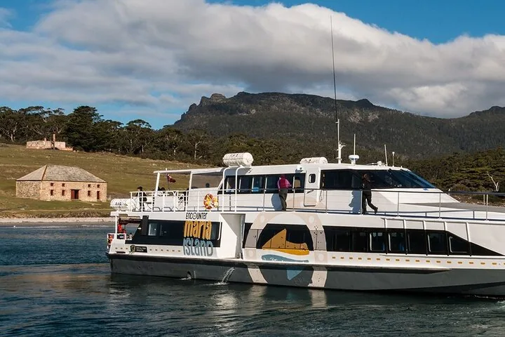 Maria Island ferry boat approaching the island with historical buildings on shore