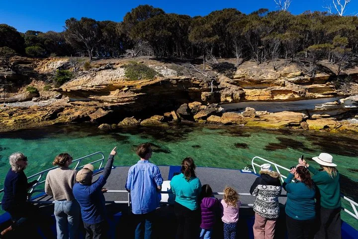 Passengers on a tour boat observing a layered sandstone coastline and forest